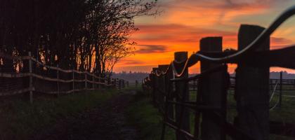 A white wooden fence stretches across open countryside under an orange sunset sky.