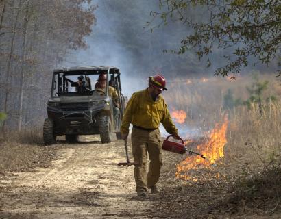 A firefighter in a red hard hat and yellow fire-resistant shirt walks along a dirt road carrying a drip torch and fire rake, igniting low flames along the road's edge, with a UTV and another crew member following behind through smoke from a prescribed burn.
